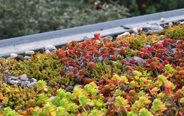 the cost of Orton On The Hill green roof installation
