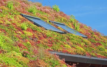 Orton On The Hill living roof systems